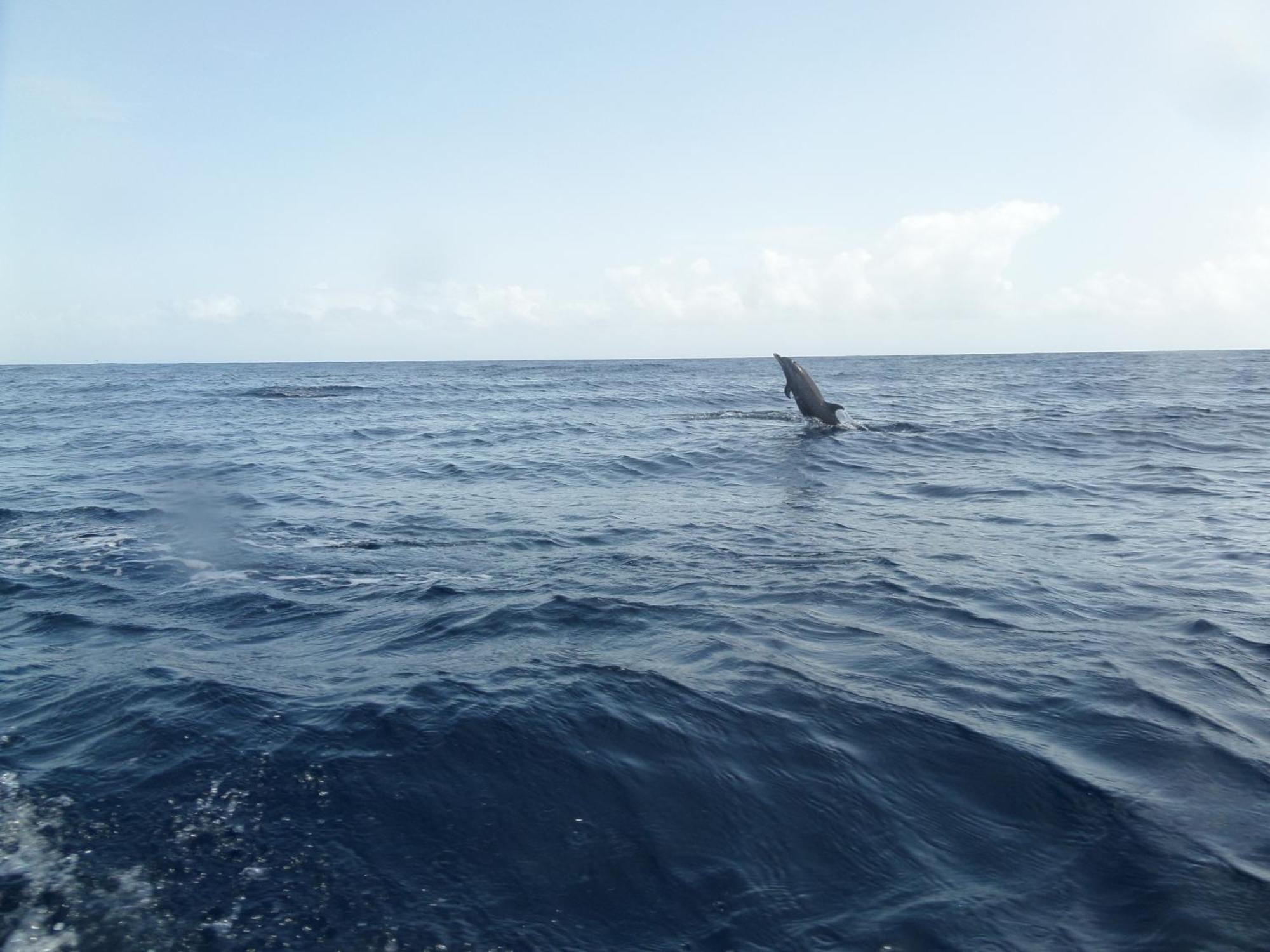 Caraibes Holidays Sainte-Anne Eksteriør bilde